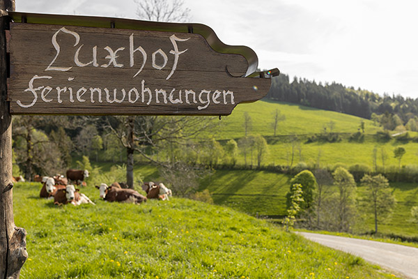 Willkommen auf dem Luxhof