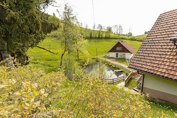 Unser Hofweiher