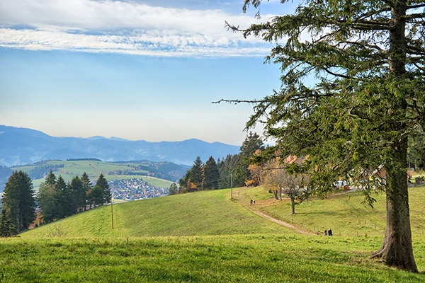 Wanderwege rund um St. Märgen